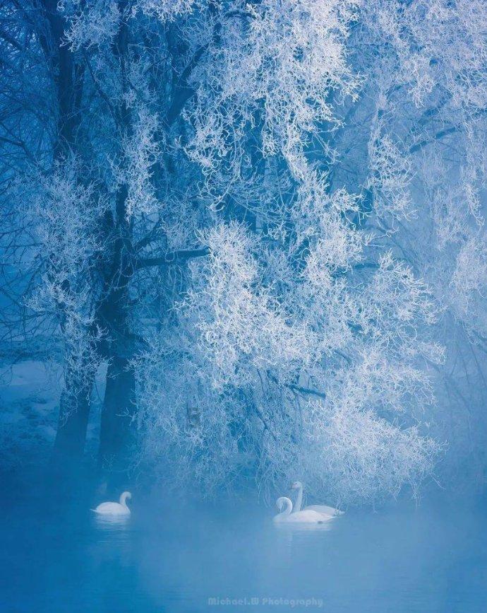了解心灵纯洁的人生活充满甜蜜和喜悦,的意思 是什么?,加入知识星球获取深度知识分享